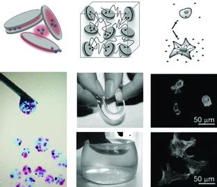  Jell-O: Biomateriaalina Luovat Uusiamahdollisuuksia Kudoksen Regenerationissa?