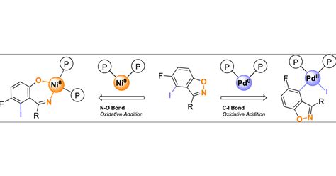  Quinaldine - A Versatile Aromatic Heterocycle for Fine Chemicals and Pharmaceuticals?!