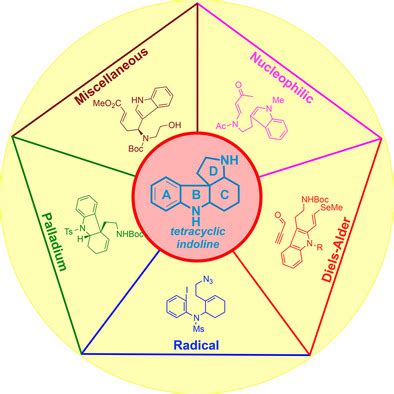  Quinolizidine Alkaloidit: Yllättävän Versatileja Rakennuspalikoita Lääketieteessä!